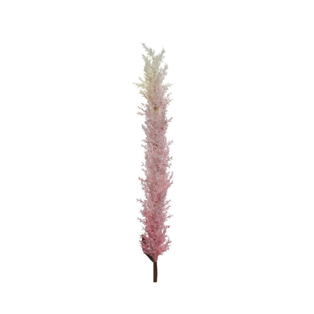 PAMPAS PINK H110